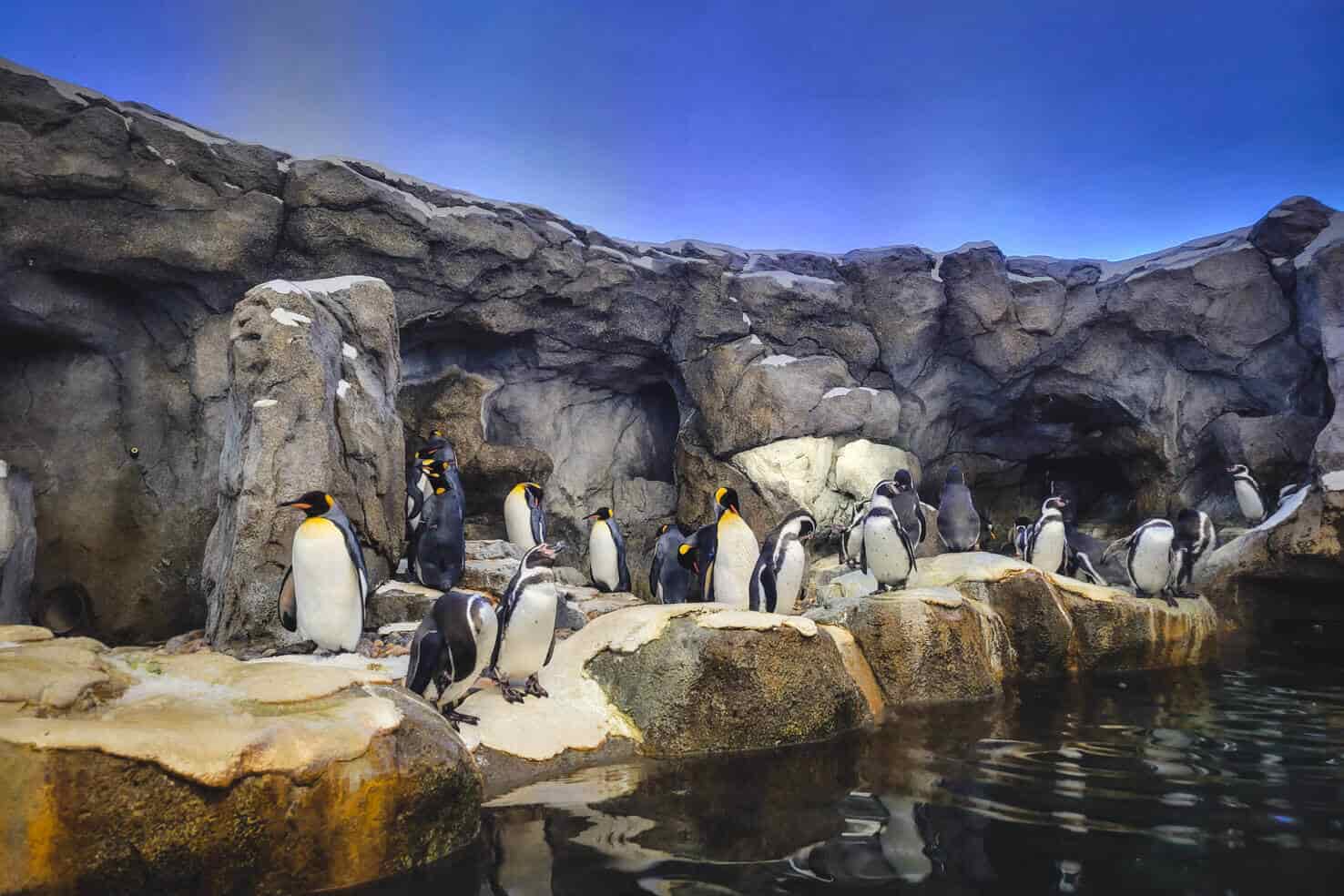Photo of Calgary Zoo