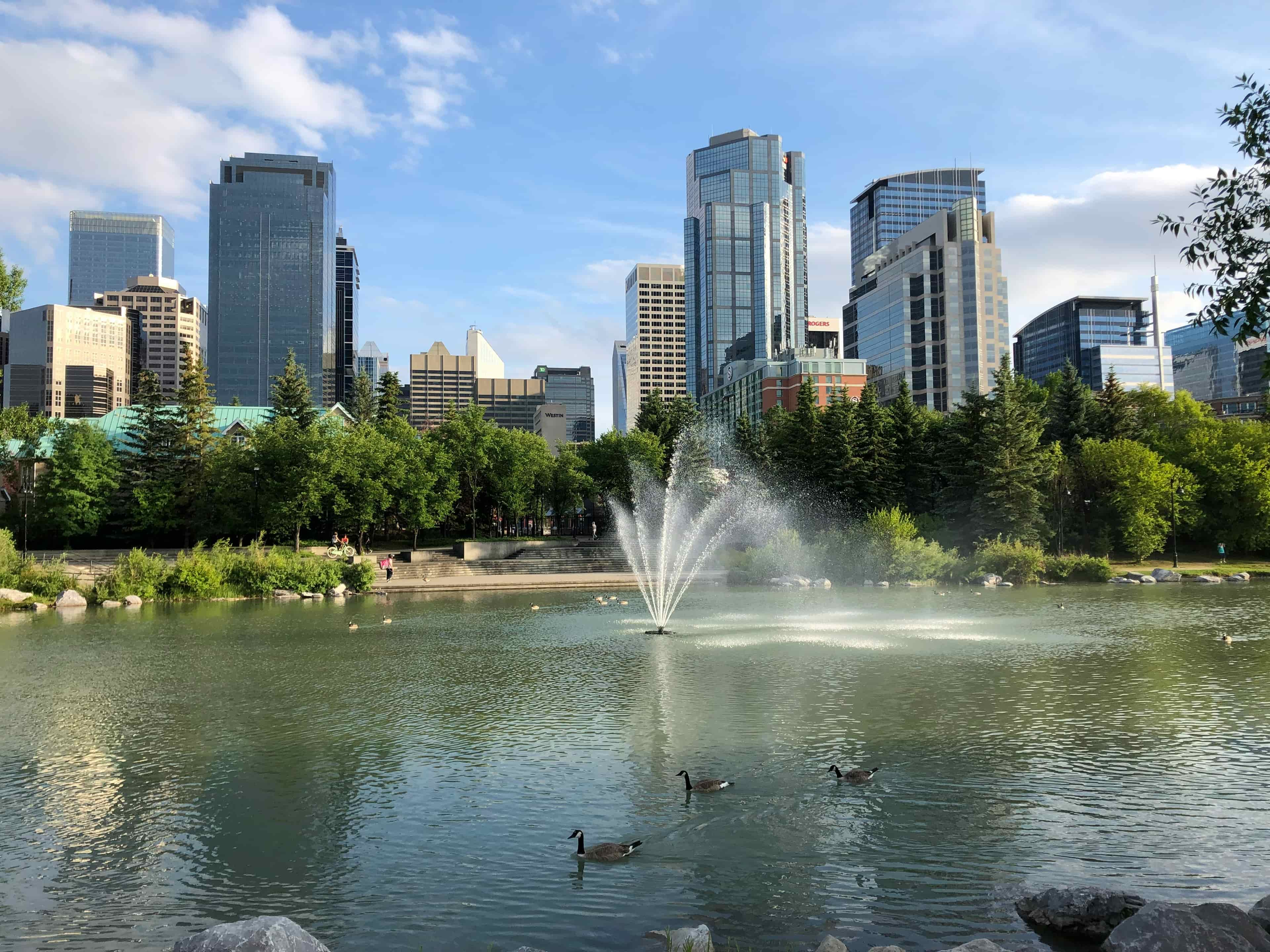 Photo of Prince Island Park