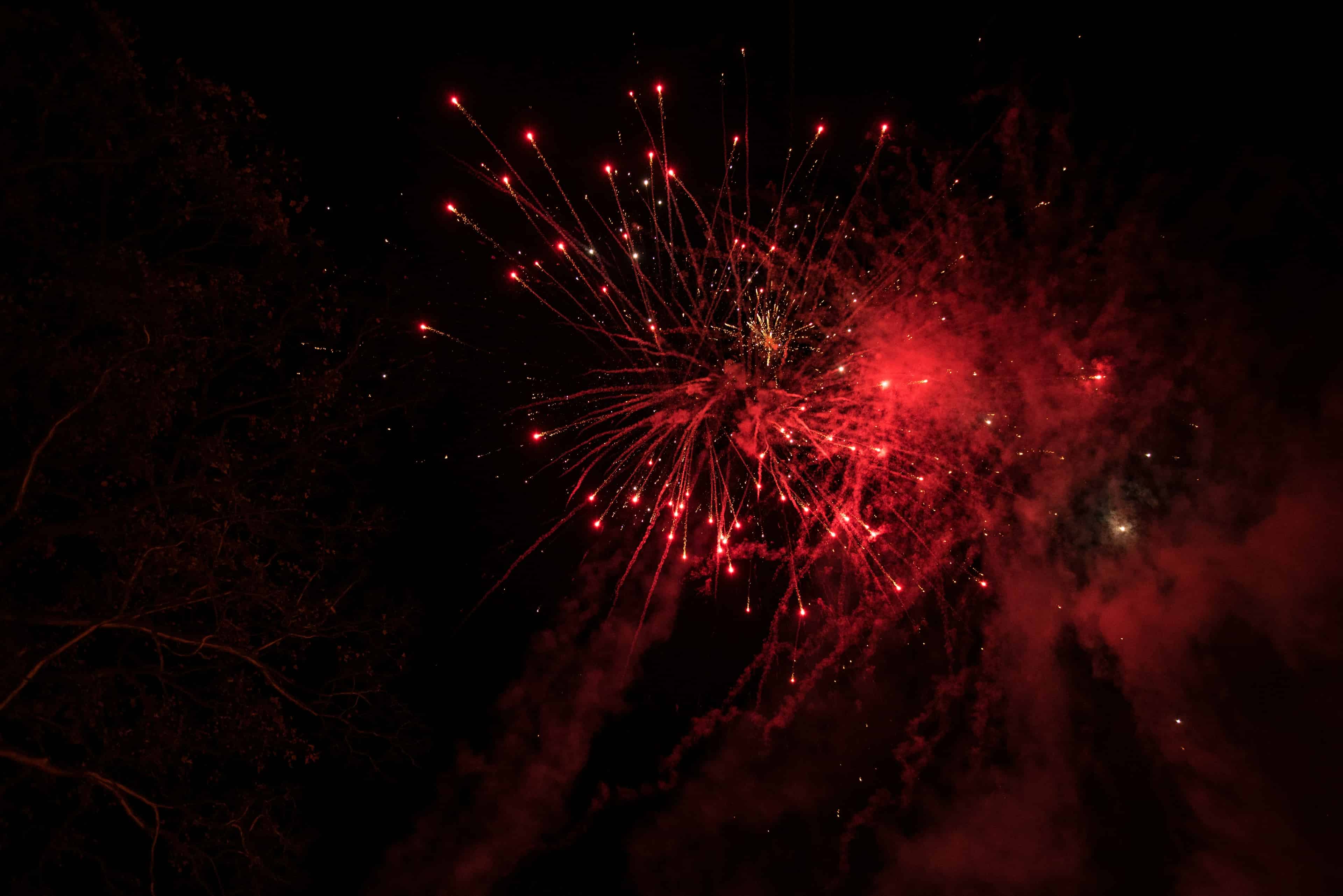 Fireworks Image