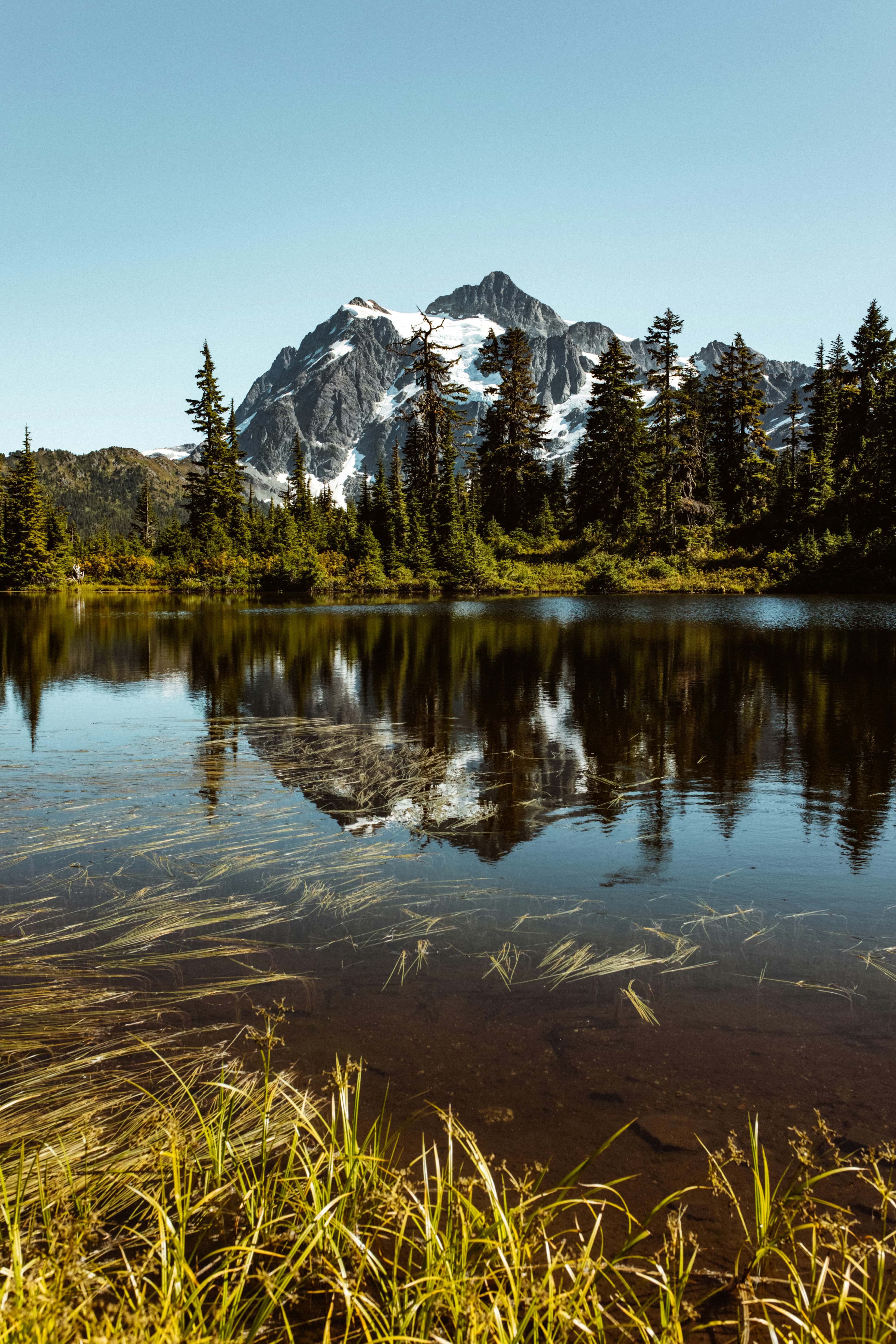 Great Outdoors Graphic