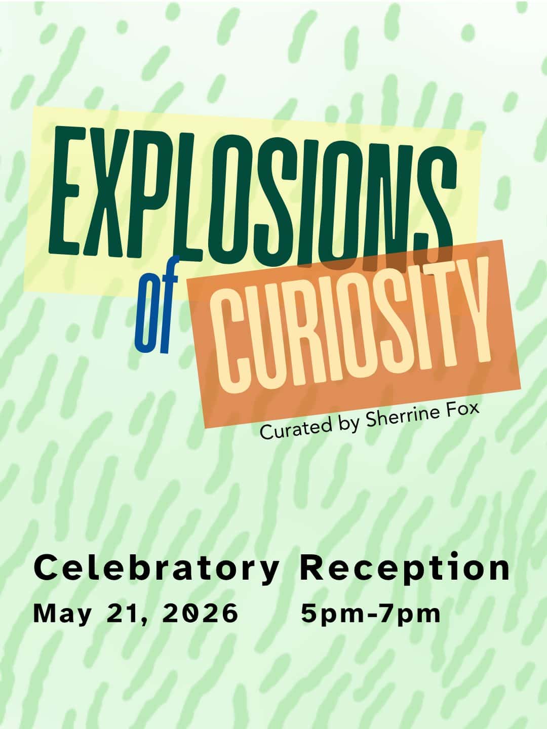 Explosions of Curiosity — Opening Reception