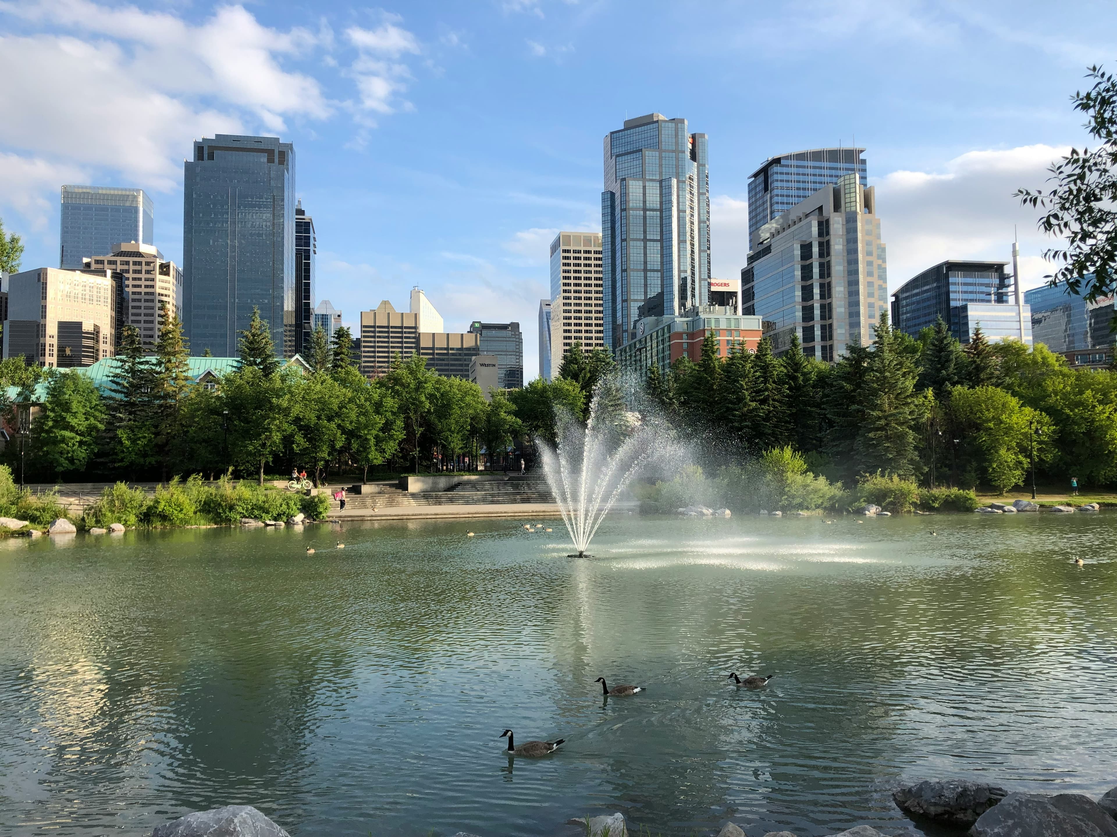 Cover photo for Parks