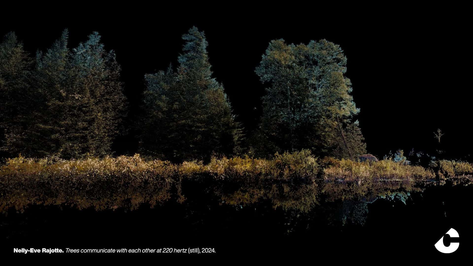 Nelly-Eve Rajotte: Trees communicate with each other at 220 hertz