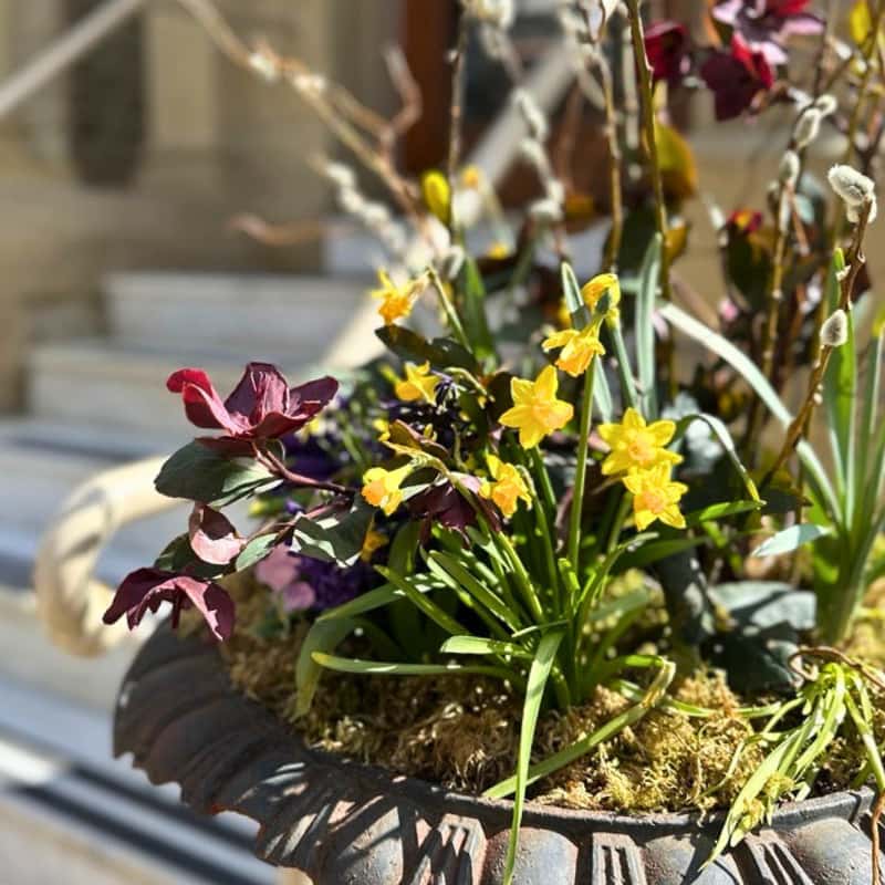 Garden Skills Workshop: Perennial Planters