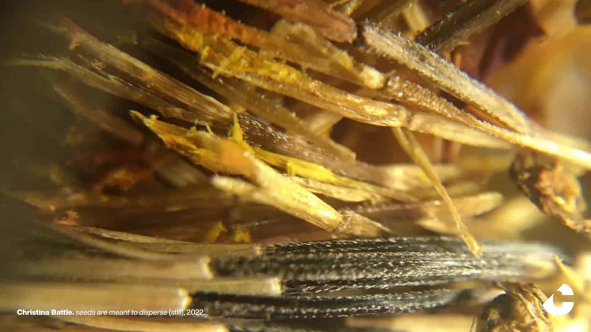 This small parcel of earth