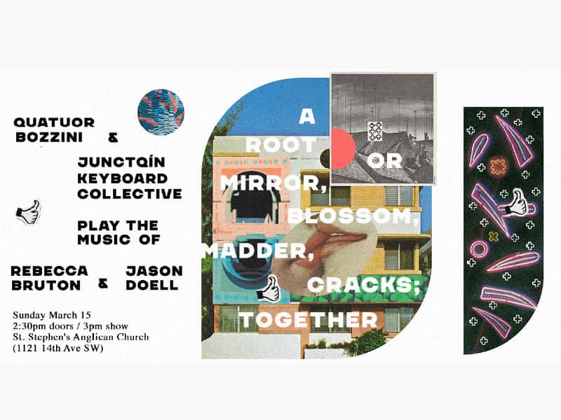 a root or mirror, blossom, madder, cracks; together