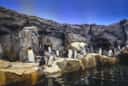 Calgary Zoo