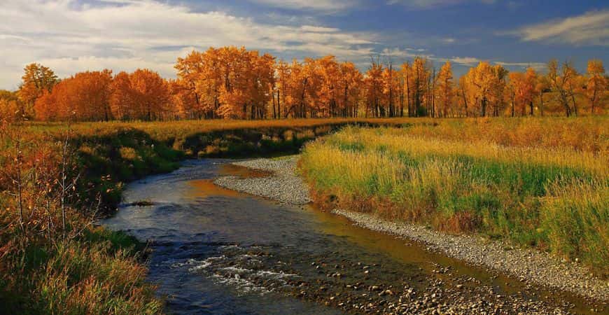 Fish Creek Provincial Park